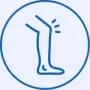 knee noise