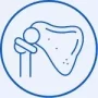 shoulder